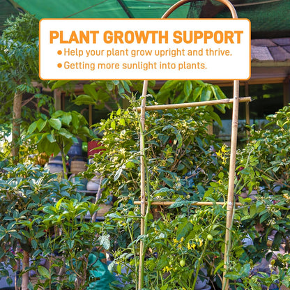 Avalution 10 Pack Bamboo U Trellis for Climbing Plants, 4 FT Garden Ladder Trellis for Potted Plants Indoor, Ladder Small Plant Support Trellis for Houseplants Ivy Hoya Vine Monstera