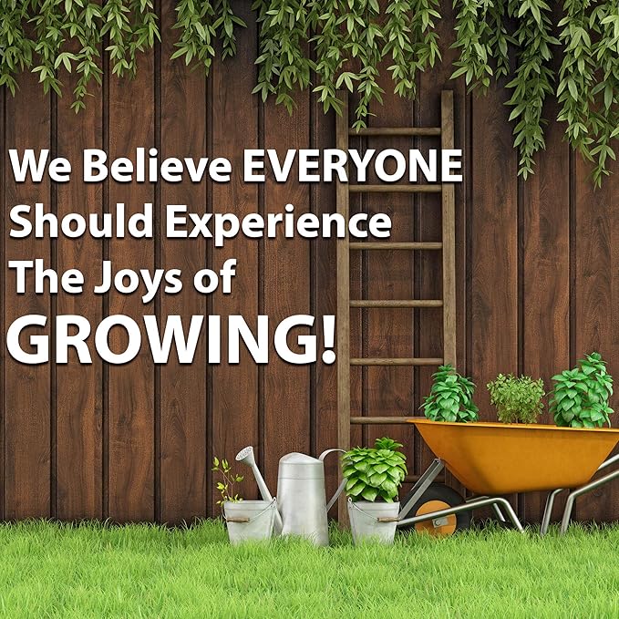 Blue Lake Bush Bean 274 Seeds - 4 Oz - Non-GMO, Heirloom, Open Pollinated - Vegetable Garden Seeds - Green String Beans