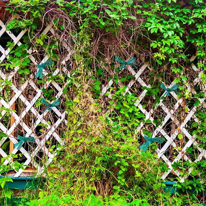 KINGLAKE GARDEN Stretch Tie Tape Roll-4 Rolls Total 600 Feet 1/2" Green Garden Tape,Plant Ribbons Plant Garden Tie for Branches, Climbing Planters, Flowers