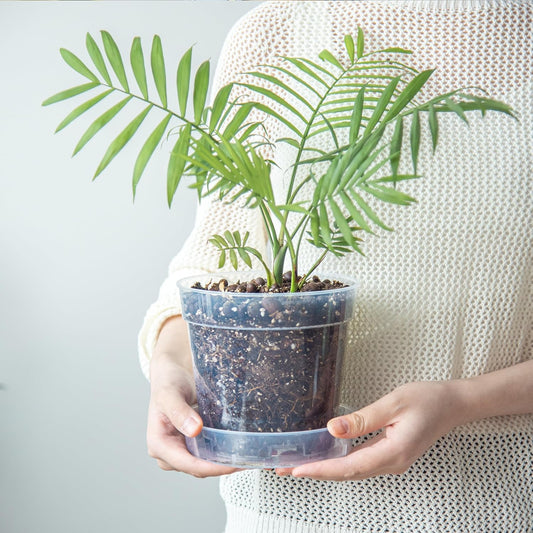 6 Inch Clear Plastic Plant Pot with Drainage Holes, Interlocking & Detachable Tray - Deep Saucer - Durable BPA-Free Plastic, Transparent Design, Raised Base for Airflow, Set of 12, 92-X-B-5