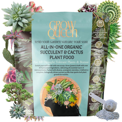 All-In-One Organic Succulent Fertilizer, Cactus Fertilizer, Succulent Plant Food, Bonsai & Cactus Food, 3 lb bag = 75 Single Servings, Fast & Slow Release feeds up to 300 plants for 8months