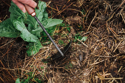 Barebones Triangle Hoe - Stainless Steel Hoe - Japanese Gardening Tools for Weeding, Long Handle and Hand Hoe (Walnut/Black)