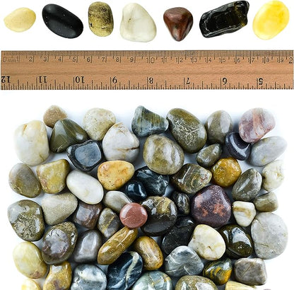 2 lbs Approx. 65 River Rocks Stones for Plants Pebbles for Indoor Plants | Aquarium Fish Tank Rocks | Polished Decorative Rocks for Vases (0.8-1.6 Inches)