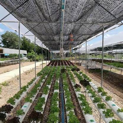 winemana Black Shade Cloth 70%, 30x50 FT Mesh Tarp - Garden Shade for Greenhouse, Patio, Vegetables, Plants Cover and Chicken Coops, Sunshade Net for Outdoor Protection with Reinforced Grommets