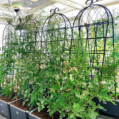 2 Pack Metal Garden Trellis for Climbing Plants 71" x 19.7" Outdoor Fence Rustproof Garden Trellis Support Roses Flower Lawn, Black 6FT