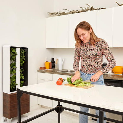 Just Vertical EVE Indoor Hydroponic Garden | Modern Furniture-Style Vertical Planter | Grow 12 Fresh Herbs & Vegetables Year-Round | Self-Watering, Energy-Efficient LED, Compact Design