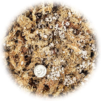 Gardenera Premium Albuca Spiralis Potting Soil Mix - Perfect Balance of Nutrients, Drainage, and Aeration for Thriving Blooms - 10 Quart