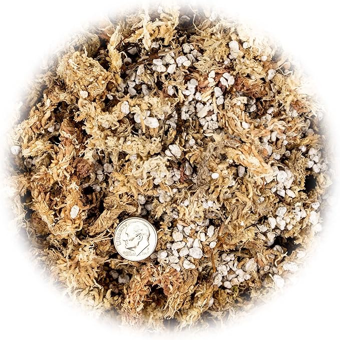 Gardenera Premium Albuca Spiralis Potting Soil Mix - Perfect Balance of Nutrients, Drainage, and Aeration for Thriving Blooms - 1 Quart