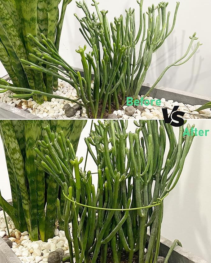 3-Pack Heavy Duty Garden Plant Stakes, 4.2mm Steel Plant Support Stakes for Indoor Outdoor Use - Tomato Cages, Monstera, Peony Supports for Potted Plants & Trees - 10" W x 17" H (Mint Green)