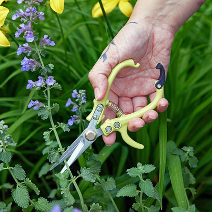 Modern Sprout Pruning Shears - Herb Snipping Scissors- Lightweight Gardening Tools W/Easy Lock - Flower Cutter Garden Shears - Carbon Steel Blade + Reusable Holster (Chartreuse, 1-Pack)