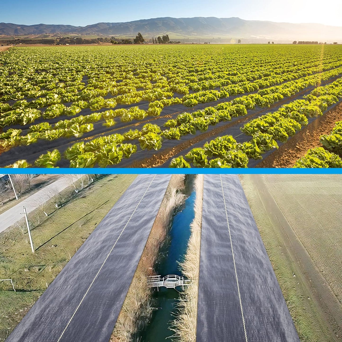 1.3ft x50ft Black Weed Barrier Landscape Premium Fabric-Heavy Duty Woven Ground Cloth with Superior Permeability Weed Control Convenient Design