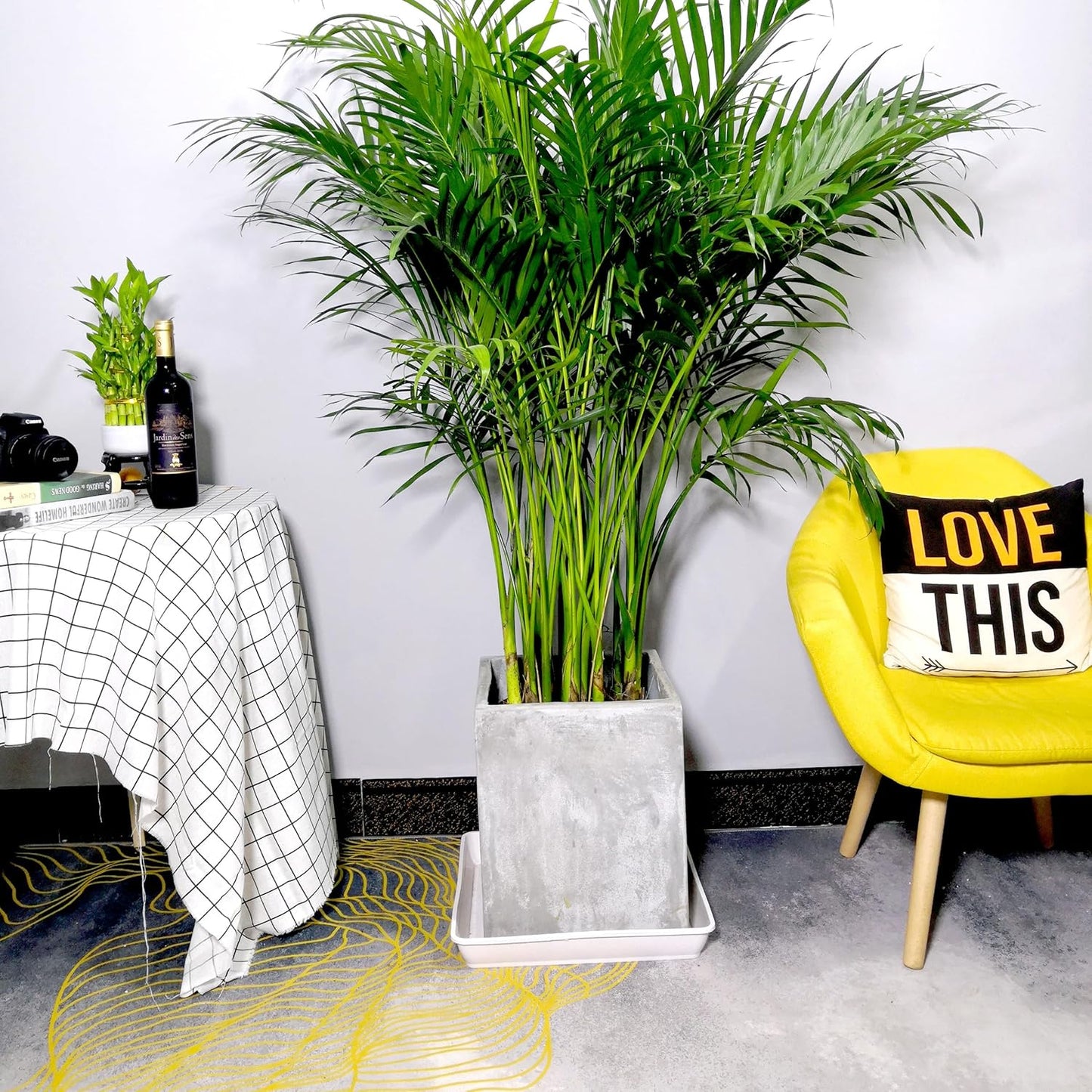 2 Pack Square Plant Saucer 20 22 Inch, Deep Plant Trays for Pots, Planters for Indoors and Outdoors Plants, Duty Plastic Plant Water Tray, Extra Large Plant Saucer (20 inch, White)