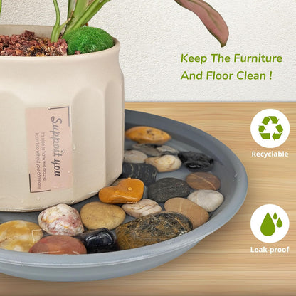 12Pcs Colourful Plant Saucer, 6 8 10 Inch Durable Plastic Plant Tray, Round Plant Pot Saucers, Drip Tray for Indoor and Outdoor Garden, Light Gray