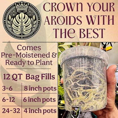 Craft Aroid Potting Mix- Elite Alocasia, Philodendron, Monstera Soil Mix, Chunky, Well Draining Potting Soil for Indoor Plants, All Tropical Plants & Houseplants, Peat Free 12QT