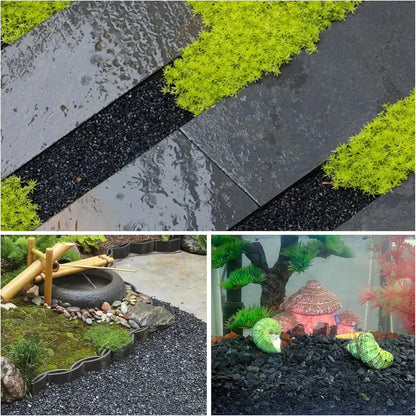 45lb Black Cactus Pea Gravel Rocks,1/4 Inch Pebbles for Indoor Plants, Natural Succulent Rock and River Rocks Decorative for Aquariums, Vases, Outdoor Gardening, Top Dressing for Potted Plants