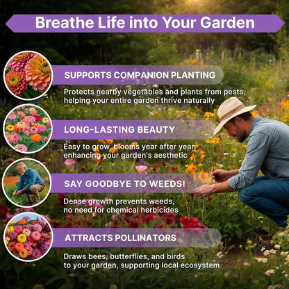 Zinnia Seeds Pack 1 oz - Over 3,800 Non-GMO Heirloom Zinnia Seeds for Planting, Annual Flowers in Individual Seed Packet, Flower Seed for Planting Home Garden Indoor & Outdoor Gardening