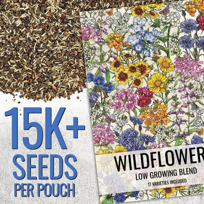 Seed Needs Low Growing Wildflower Flower Seeds for Planting | 5 Packs (1 Ounce Each) Mixture/Blend 17 Varieties | Resealable Package Multicolored Blooms Open Pollinated Mixed Species | Bulk