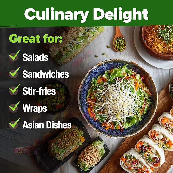 HOME GROWN Mung Beans Seeds Pack 1.5 lb – 𝗨𝗦𝗔 Over 15,000 Sprouting Seeds – Grow Fresh Mung Bean Sprouts or Microgreens for Quick, Easy, Nutrient-Packed Food for Your Daily Meals (Vigna Radiata)