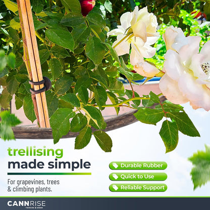 Anchor Rubber Bands for Trellising – 110 Pack of 5 cm/1.96 inches Rubber Bands for Outdoor Plant Support, Climbing Plants, Grape Vines, Trees – UV-Protected, Elastic, Multi-Purpose Use