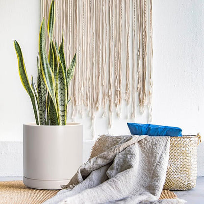 D'vine Dev 12 Inch Ceramic Planter Pot with Drainage Hole and Saucer, Indoor Cylinder Round Planter Pot, Oatmeal, 94-O-F-8