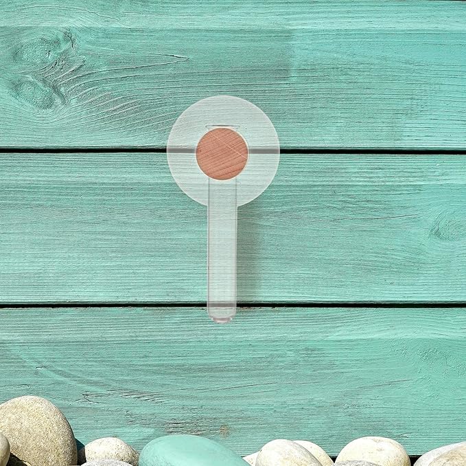 Milisten Plant Propagation Tubes: Wall Hanging Plant Terrarium with Wooden Stand Vase Glass Planter Stations for Hydroponic Flower Cutting Home Decor