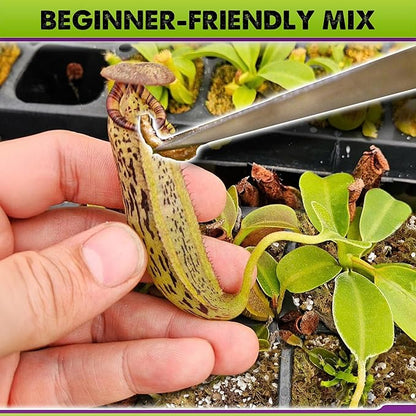DUSPRO Carnivorous Plant Soil Mix 1.5QT-Include Forest Moss, Peat Moss, Perlite Potting Mix for Carnivorous Plants, Carnivorous Plants, Pitcher Plant, Butterworts, Sundews - Carnivorous Plant Food