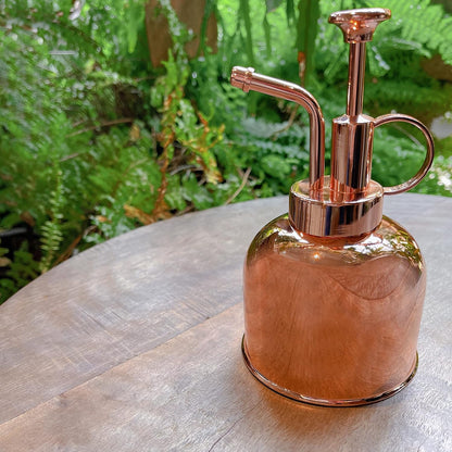 Stainless Steel Plant Mister Spray Bottle Watering Can for Indoor Plants Succulent Bonsai Garden Spray Houseplant Spritzer Modern Garden Tools 10oz/300ml (ROSE GOLD)