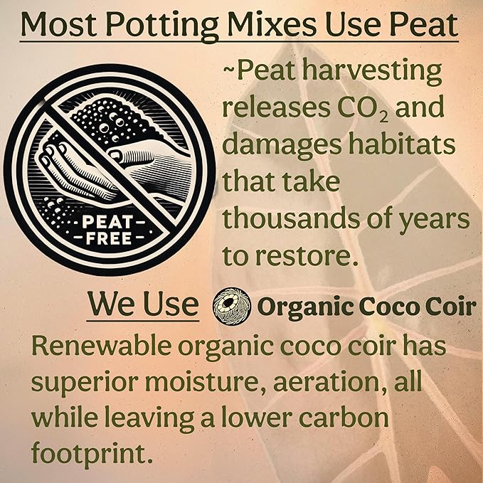 Craft Aroid Potting Mix- Elite Organic Alocasia, Philodendron, Monstera Soil Mix, Chunky, Well Draining Potting Soil for Indoor Plants, All Tropical Plants & Houseplants, Sustainable & Peat Free 1QT