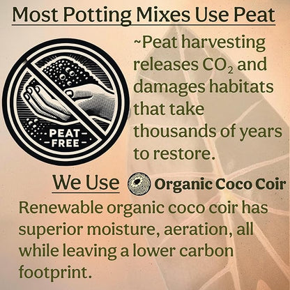 Craft Aroid Potting Mix- Elite Organic Alocasia, Philodendron, Monstera Soil Mix, Chunky, Well Draining Potting Soil for Indoor Plants, All Tropical Plants & Houseplants, Sustainable & Peat Free 1QT