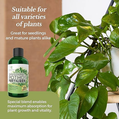 Professional Liquid Pothos Plant Fertilizer | 3-1-2 Concentrate for Epipremnums and Houseplants | Multi-Purpose Blend & Gardening Supplies | 8 oz Bottle