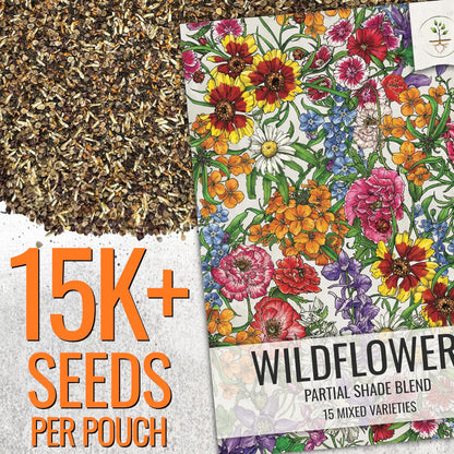 Seed Needs Partial Shade Wildflower Seed Mix for Planting | 2 Packs (1 Ounce Each) 14+ Varieties Open Pollinated Annual & Perennial Species | Flower Seeds Shade Tolerant | Bulk
