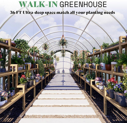 AMERLIFE 36x10x7 FT Large Walk-in Tunnel Greenhouses for Outdoors with Watering System 2 Zipper Doors, Heavy Duty Greenhouse Upgraded Galvanized Steel Frame 12 Windows, Green/White