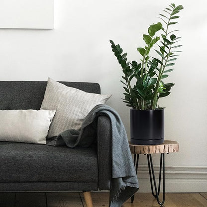 D'vine Dev Set of 2 Plants Pots, 8.2 Inch Ceramic Planter Pot for Plants with Drainage Hole and Saucer, Black, 94-V-D-2