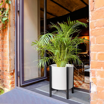 D'vine Dev Planter Pot with Stand - 16 Inch Plastic Cylinder Flower Pot with Wood Planter Holder for Indoor, Matte White Pot + Ebony Stand, 55-C-Z-1