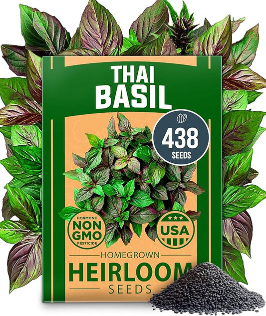 HOME GROWN Thai Basil Seeds Pack - 438 High Germination 𝗡𝗢𝗡-?𝗠𝗢 𝗨𝗦𝗔 Heirloom Herb Seeds for Planting,Ideal for Growing Fresh Basil Planting Indoor or Outdoor(Ocimum basilicum VAR.thyrsiflora)