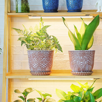 Gepege 6 Inch Beaded Ceramic Planter Set of 2 with Drainage Hole and Saucer for Plants, Indoor-Outdoor Large Round Succulent Orchid Flower Pot