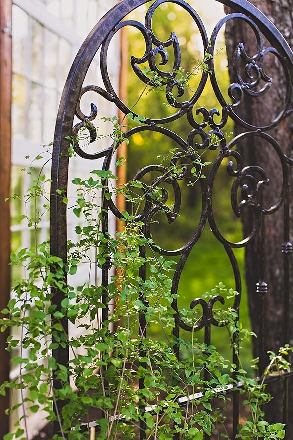 H Potter Wall Trellis Indoor Outdoor Wrought Iron Heavy Scroll Metal Decoration Large with Set of 4 Mounting Brackets