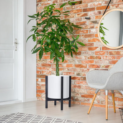 D'vine Dev Planter Pot with Stand - 12 Inch Plastic Cylinder Flower Pot with Wood Planter Holder for Indoor, Matte White Pot + Ebony Stand, 55-C-Q-1