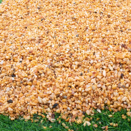 7lb Cactus Pea Gravel Rocks,1/5 Inch Pebbles for Indoor Plants, Natural Succulent Rock and River Rocks Decorative for Aquariums, Vases, Terrarium, Outdoor Gardening, Top Dressing for Potted Plants