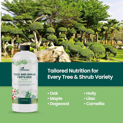 16oz Tree and Shrub Plant Food - Makes 16 Gallons of Tree and Shrub Fertilizer, Liquid Plant Fertilizer for Healthy Roots, Foliage & Year-Round Growth, Nutrient-Rich Formula for All Trees & Shrubs