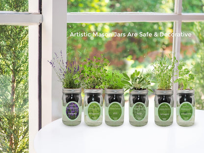 Hydroponic Herb Growing Kit Set, Self-Watering Mason Jar Herb Garden Starter Kit Indoor, Window Herbs Garden, Grow Your Own Plants from Organic Seeds (Basil, Parsley and Oregano)