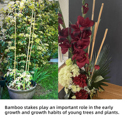 0.32”-0.4"/ 4 Feet Garden Stakes, Natural Bamboo Sticks Plant Stakes for Indoor and Outdoor Plants，Poles for Tomatoes, Beans, Potted Plants(50Pcs)