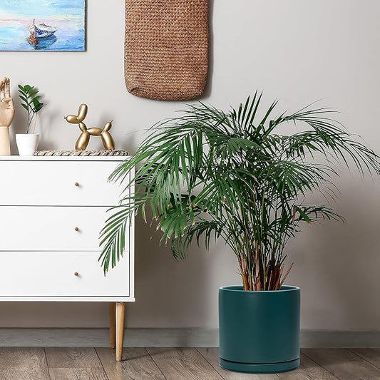 D'vine Dev 10 Inch Ceramic Planter Pot with Drainage Hole and Saucer, Indoor Cylinder Round Planter Pot, Teal, 94-O-E-9