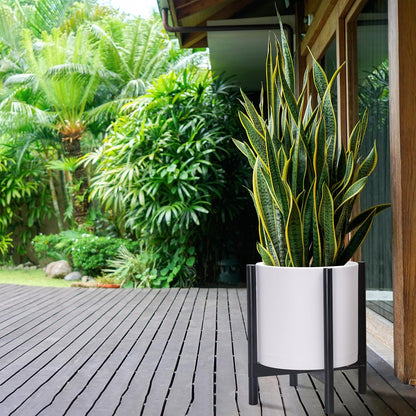 D'vine Dev Planter Pot with Stand - 14 Inch Plastic Cylinder Flower Pot with Wood Planter Holder for Indoor, Matte White Pot + Ebony Stand, 55-C-T-1