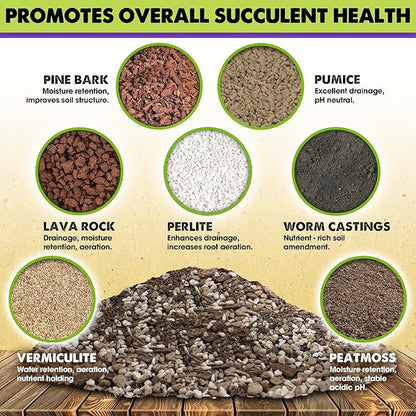 DUSPRO Succulents Soil Potting Mix – 7 in 1 Ingredients Well-Draining, Nutrient-Rich Cactus Potting Soil for Succulents and Cacti, Indoor & Outdoor Use, Ready to Use, Supports Healthy Root Growth, 1QT