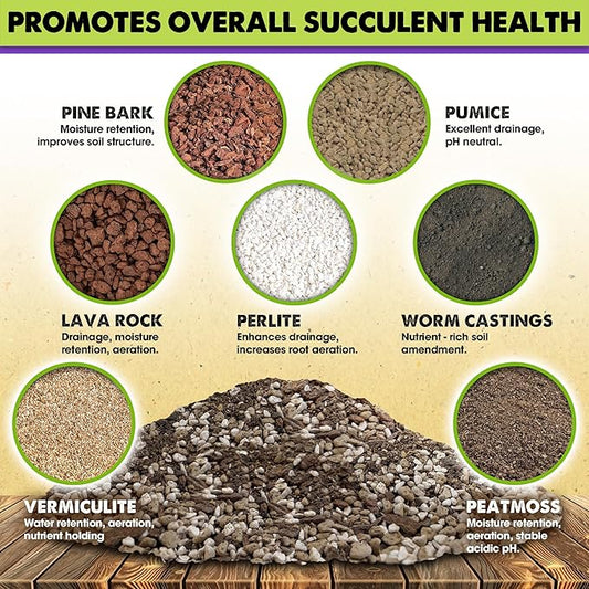 DUSPRO Succulents Soil Potting Mix – 7 in 1 Ingredients Well-Draining, Nutrient-Rich Cactus Potting Soil for Succulents and Cacti, Indoor & Outdoor Use, Ready to Use, Supports Healthy Root Growth, 4QT