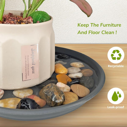 12Pcs Colourful Plant Saucer, 6 8 10 Inch Durable Plastic Plant Tray, Round Plant Pot Saucers, Drip Tray for Indoor and Outdoor Garden, Dark Gray