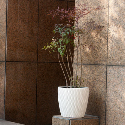 Dexceder 18x17 Inches Rattan Self Watering Planter Indoor Outdoor, Inner Pot Design, Thickened Table Flower Plant Pot with Water Level Indicator (Ivory White)