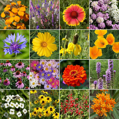 Ferry-Morse Pollinator and Butterfly Mix Bulk Wildflower Seeds, 1lb