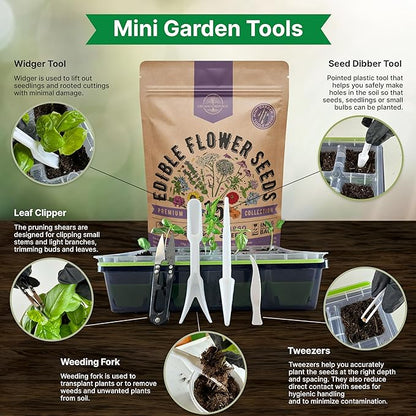 Organo Republic 15 Edible Flower Seeds Variety Pack- Indoor/Outdoor. 4800+ Non-GMO Heirloom Flower: Borage, Bishop's Flower, Chicory, Chives, Hyssop, Echinacea, Lavender Seeds & More